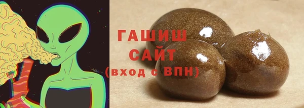 прущие грибы Гусь-Хрустальный
