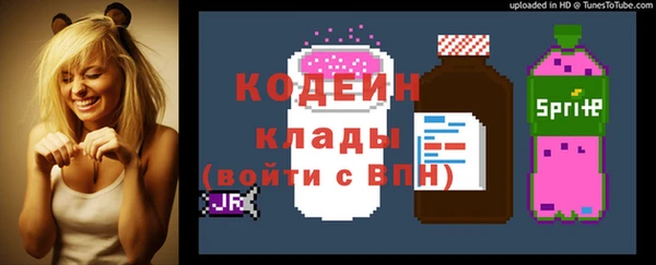 круглые Гусев