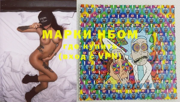 круглые Гусев