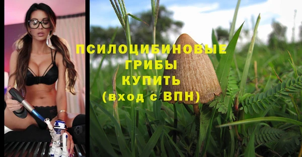 ECSTASY Волосово