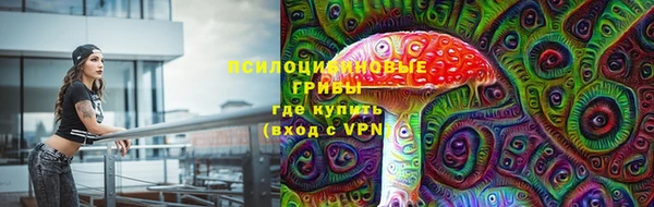 мяу мяу мука Волоколамск